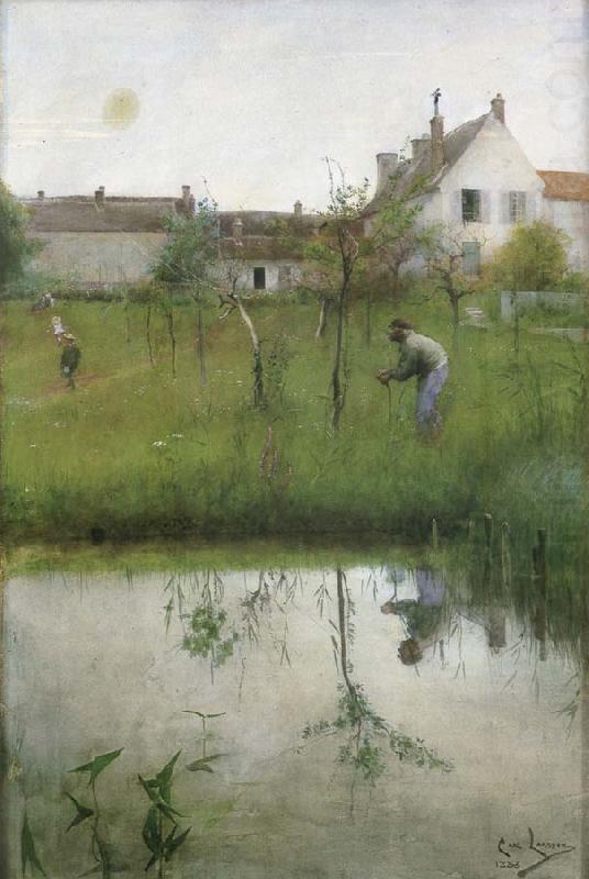 The Old man and the New Trees, Carl Larsson